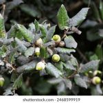 星痕轨道漫画徐太元:探索宇宙与命运交织的奇幻旅程 5ng67v