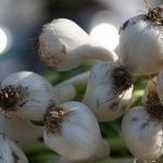 最新地址发布页:获取实时更新与使用指南 68vn7
