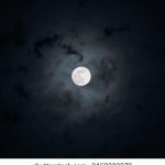 揭秘51黑料吃瓜中心:背后的故事与真相 uy54ifg